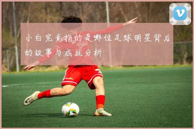 小白究竟指的是哪位足球明星背后的故事与成就分析