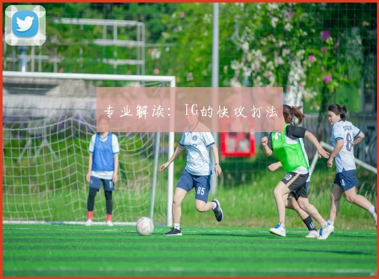 专业解读：IG的快攻打法