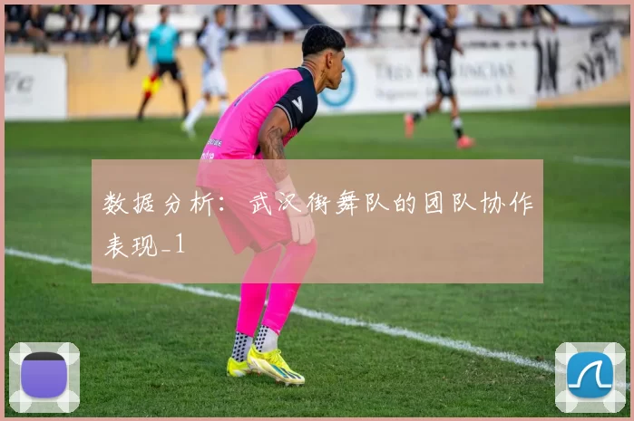数据分析：武汉街舞队的团队协作表现_1