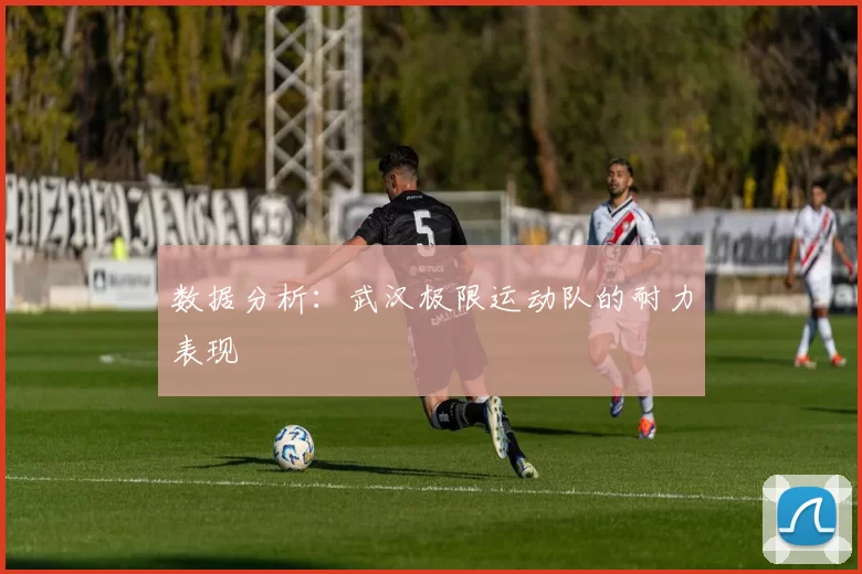 数据分析：武汉极限运动队的耐力表现