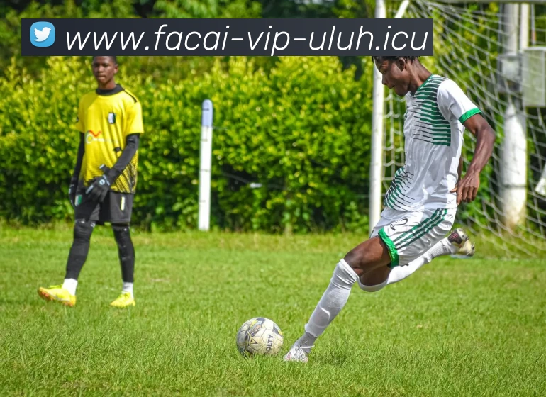 星空体育品牌故事