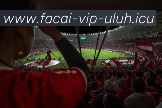 星空体育服务体系